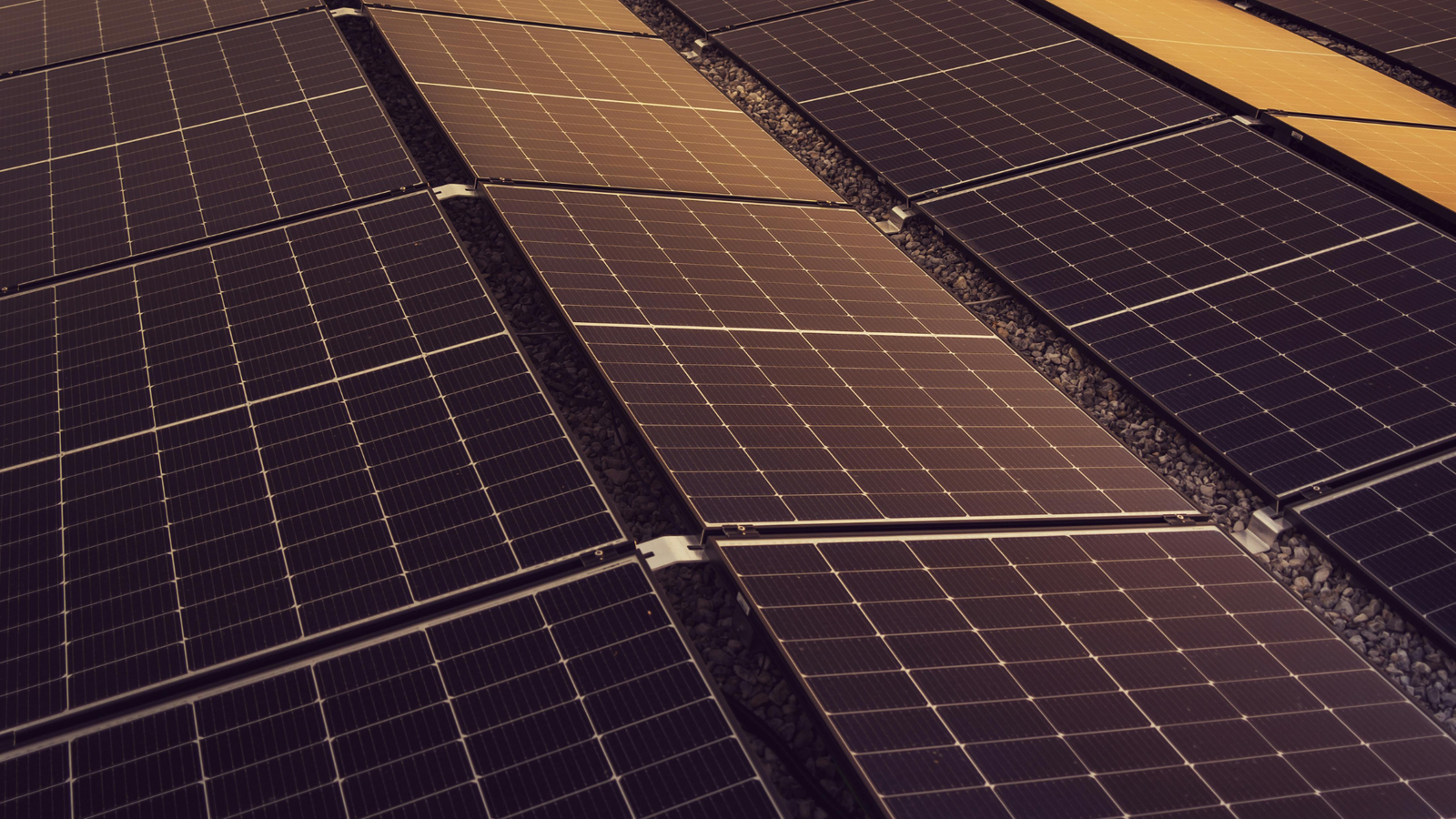 close up of solar panels