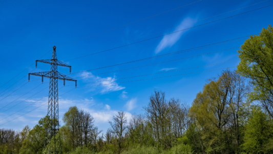 Regulatory Developments in Power Transmission Sector: March 19, 2025