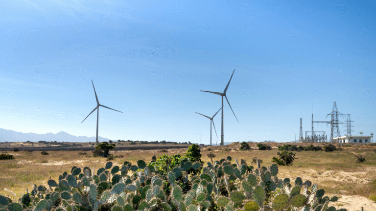 Wind plant in a desert