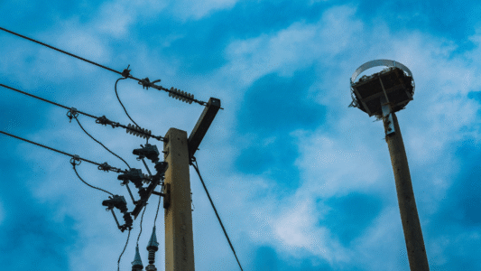 Regulatory Developments in Power Distribution Sector: June 2, 2025