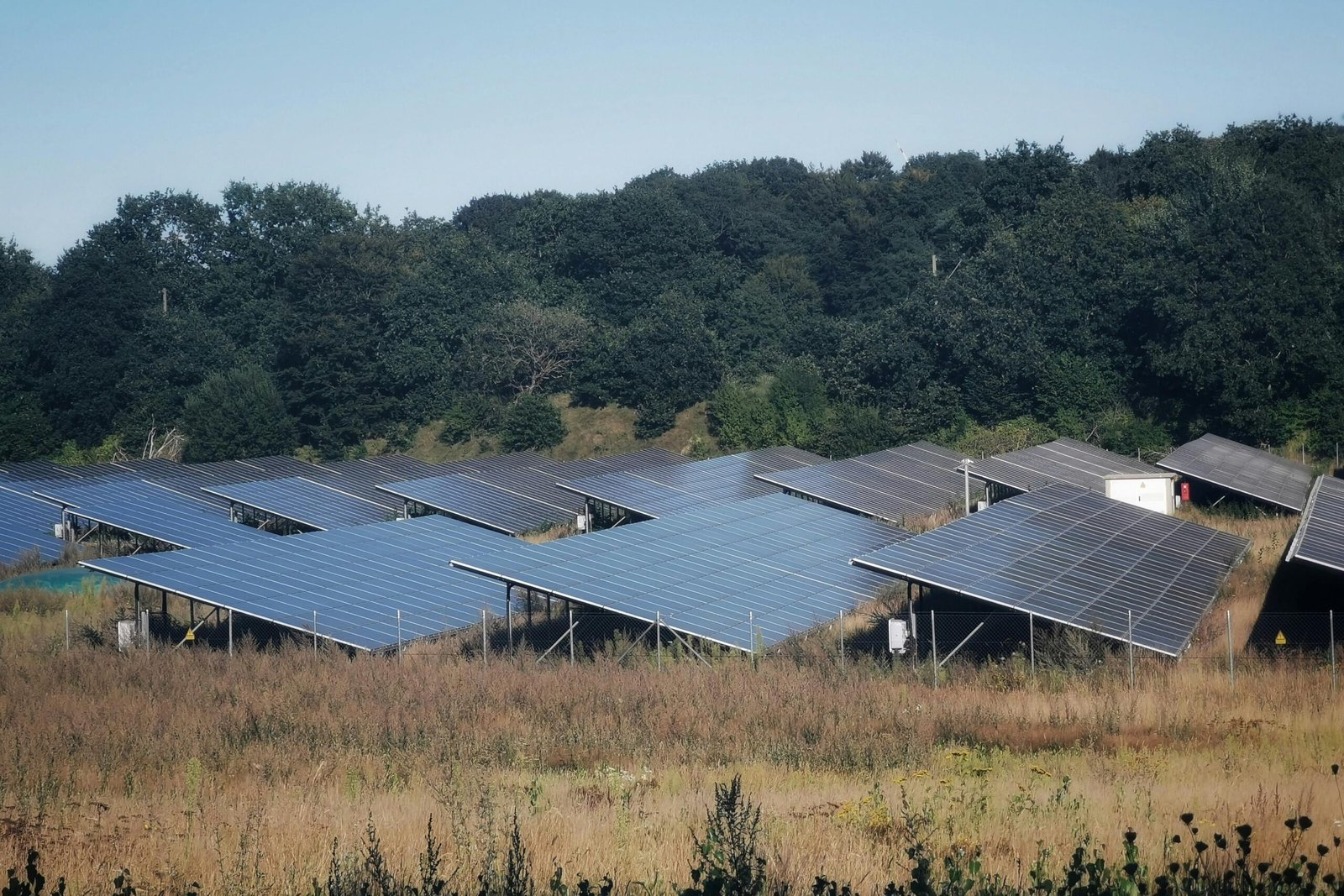 Solar panels in open field representing large-scale solar energy manufacturing