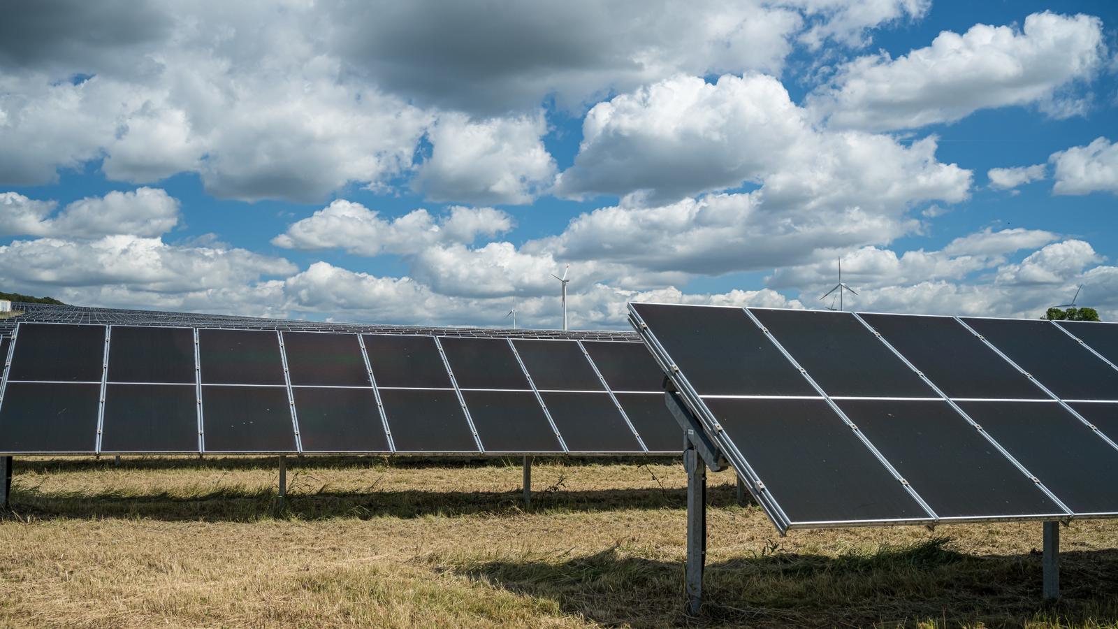 Solar panels installed in an open field