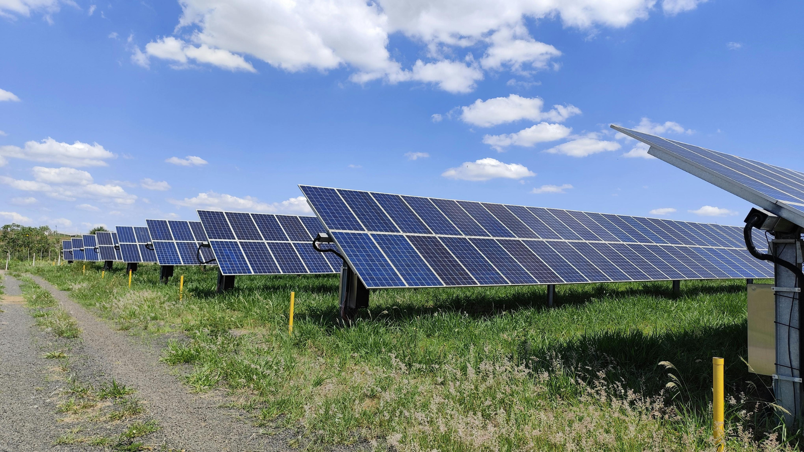Rows of ground mounted solar panels in a grassy field on a sunny day showing renewable energy infrastructure in operation.