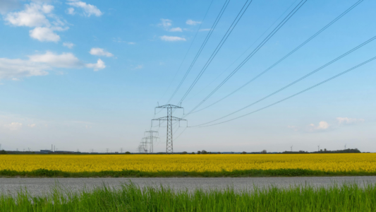 Ambala Cantonment gets major power distribution upgrade under RDSS