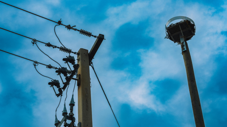 CAG flags planning and execution gaps in DDUGJY and SAUBHAGYA schemes