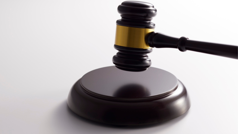 Supreme Court eases power line curbs to balance GIB conservation and renewables