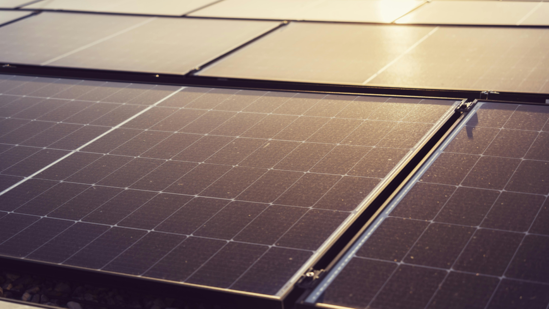 GREW Solar wins NTPC REL order to supply 1,464.5 MW solar modules
