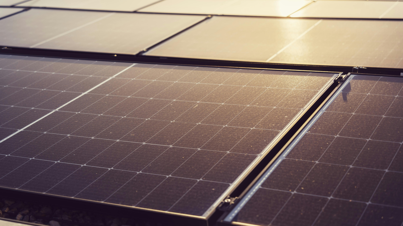 GREW Solar wins NTPC REL order to supply 1,464.5 MW solar modules