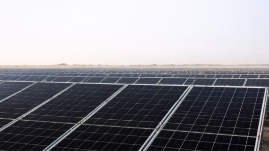 NTPC Green declares 130.47 MW of Khavda solar project operational