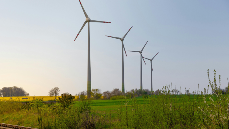 MNRE extends domestic sourcing deadline for wind turbine bearings