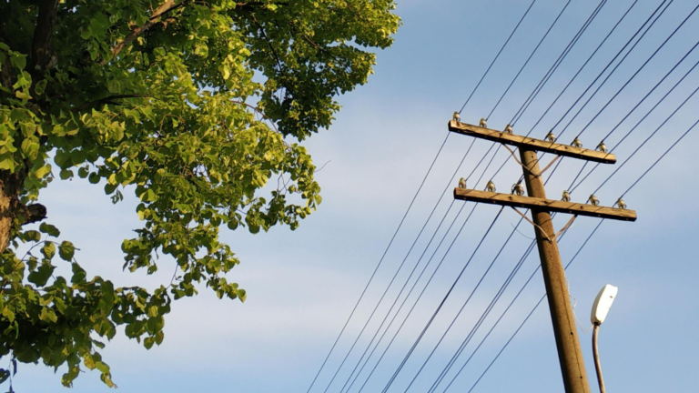 KEC International secures Rs 1,002 crore T&D and cables orders