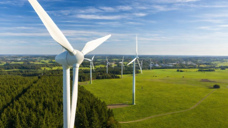 NTPC Green commissions 50 MW of Dayapar wind project
