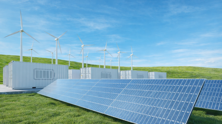 Pace Digitek wins 250 MW solar-storage project at Pavagada