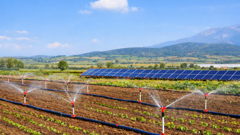 Haryana approves Rs 402.41 crore solar micro-irrigation projects