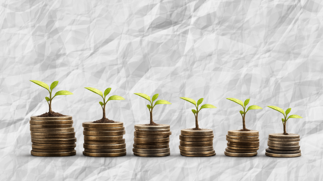 Solfin raises Rs 280 crore for clean energy financing expansion