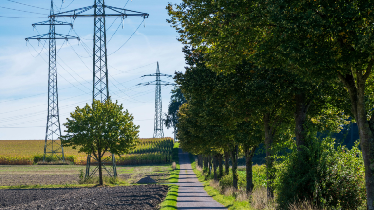 POWERGRID and Montecarlo acquire transmission SPVs in Maharashtra