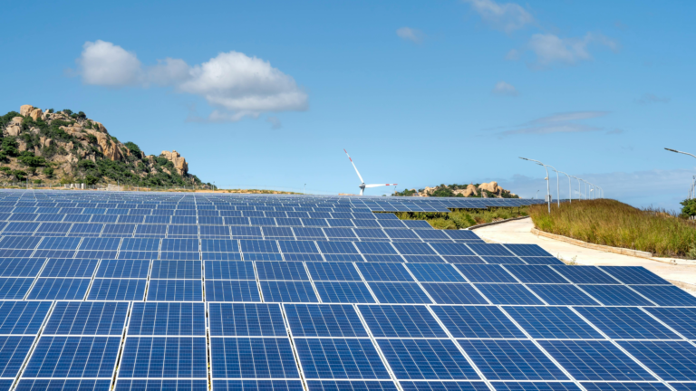 PSPCL awards 500 MW solar capacity in national auction
