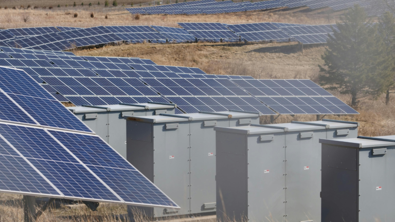 Solarworld wins Rs 267.5 crore BOS contract for NTPC Bikaner solar block