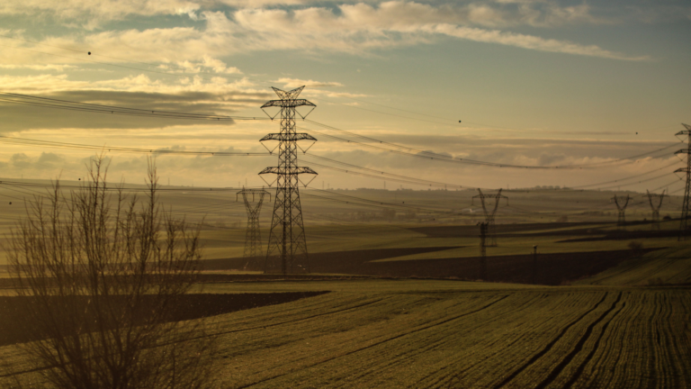 MoEFCC’s new RoW norms could cut forest land for power lines by up to 96%