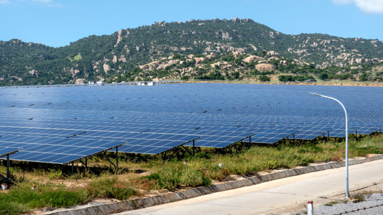IEA cites India’s auction model as Southeast Asia faces energy security risks