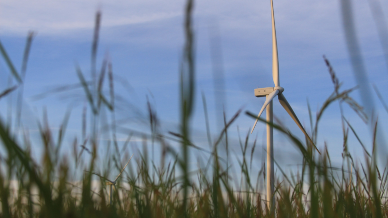 Captive wind power user wins refund battle against MSEDCL over charge calculation method