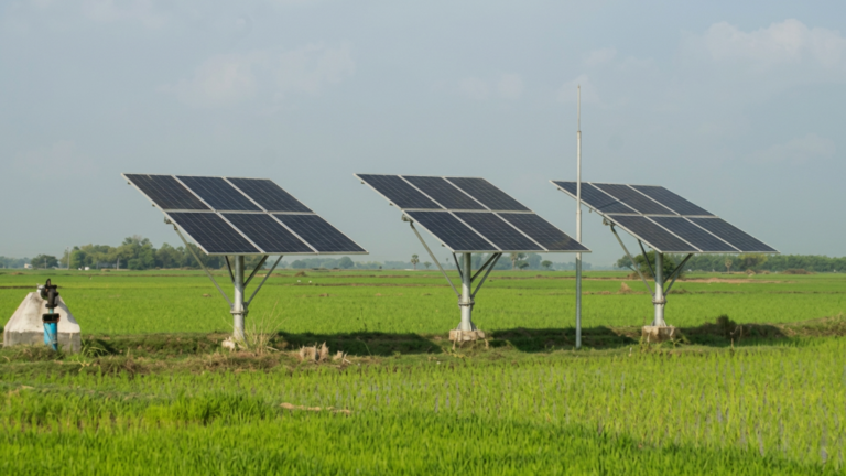 Jupiter International secures Rs 108 crore solar pump order from MSEDCL