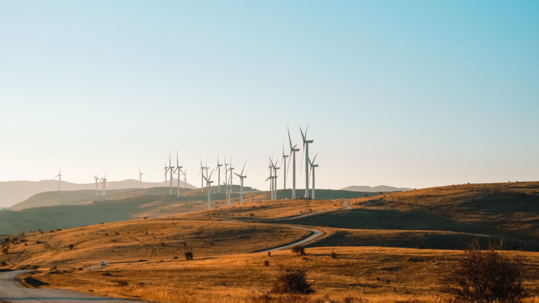 Powerica, NLC, Juniper Green quote lowest tariff in SECI’s 250 MW wind auction