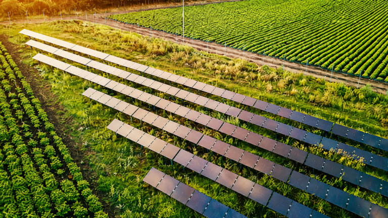 GameChange Energy commissions first New Zealand solar tracker project